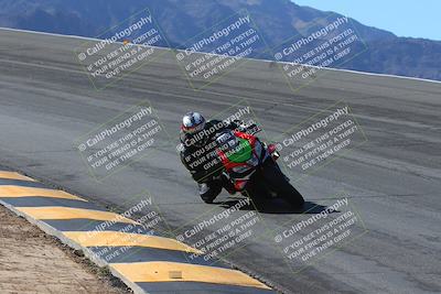 media/Feb-04-2024-SoCal Trackdays (Sun) [[91d6515b1d]]/1-Bowl (950am)/